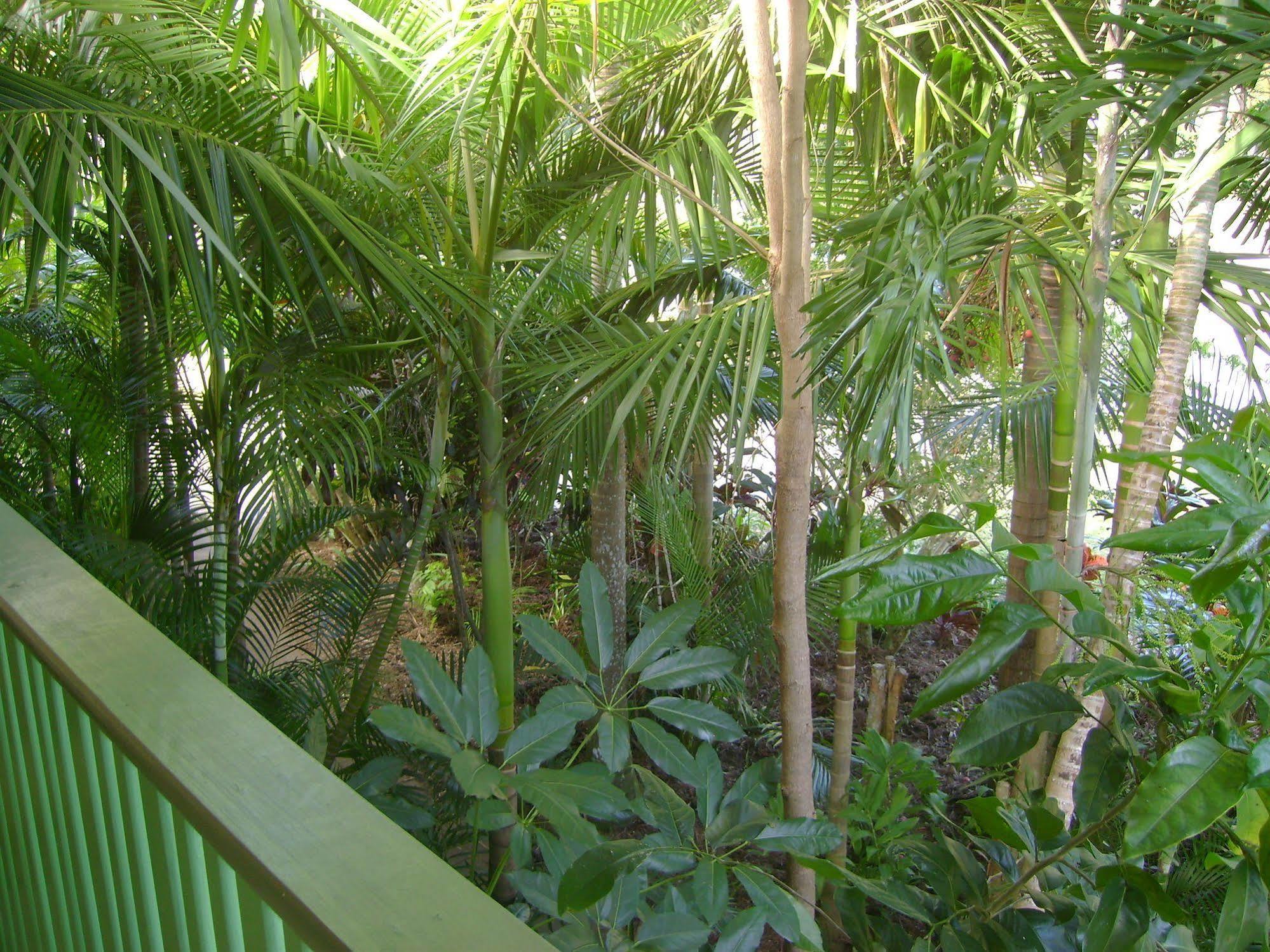 Tropical Nites Holiday Townhouses Port Douglas Ngoại thất bức ảnh
